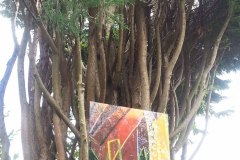acrylglas-haengende-gaerten-09