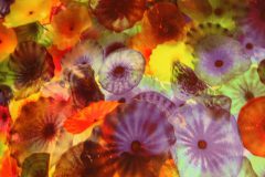acryglas-unterwasser-04-scaled