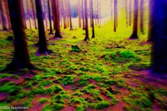 leinwand-surreale-landschaft-04