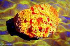 leinwand-surreale-landschaft-06