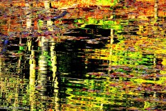 leinwand-surreale-landschaft-07