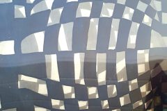 20210625_110155-scaled