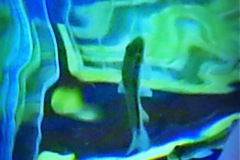 acryglas-unterwasser-10