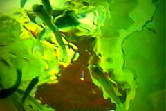 acryglas-unterwasser-11