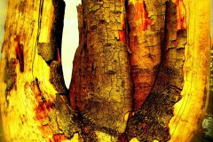 leinwand-surreale-landschaft-10