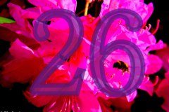 gebrauchskunst-hausnummer-02