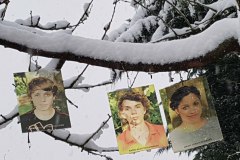 acrylglas-stammbaum-02