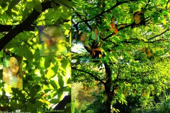 acrylglas-stammbaum-03